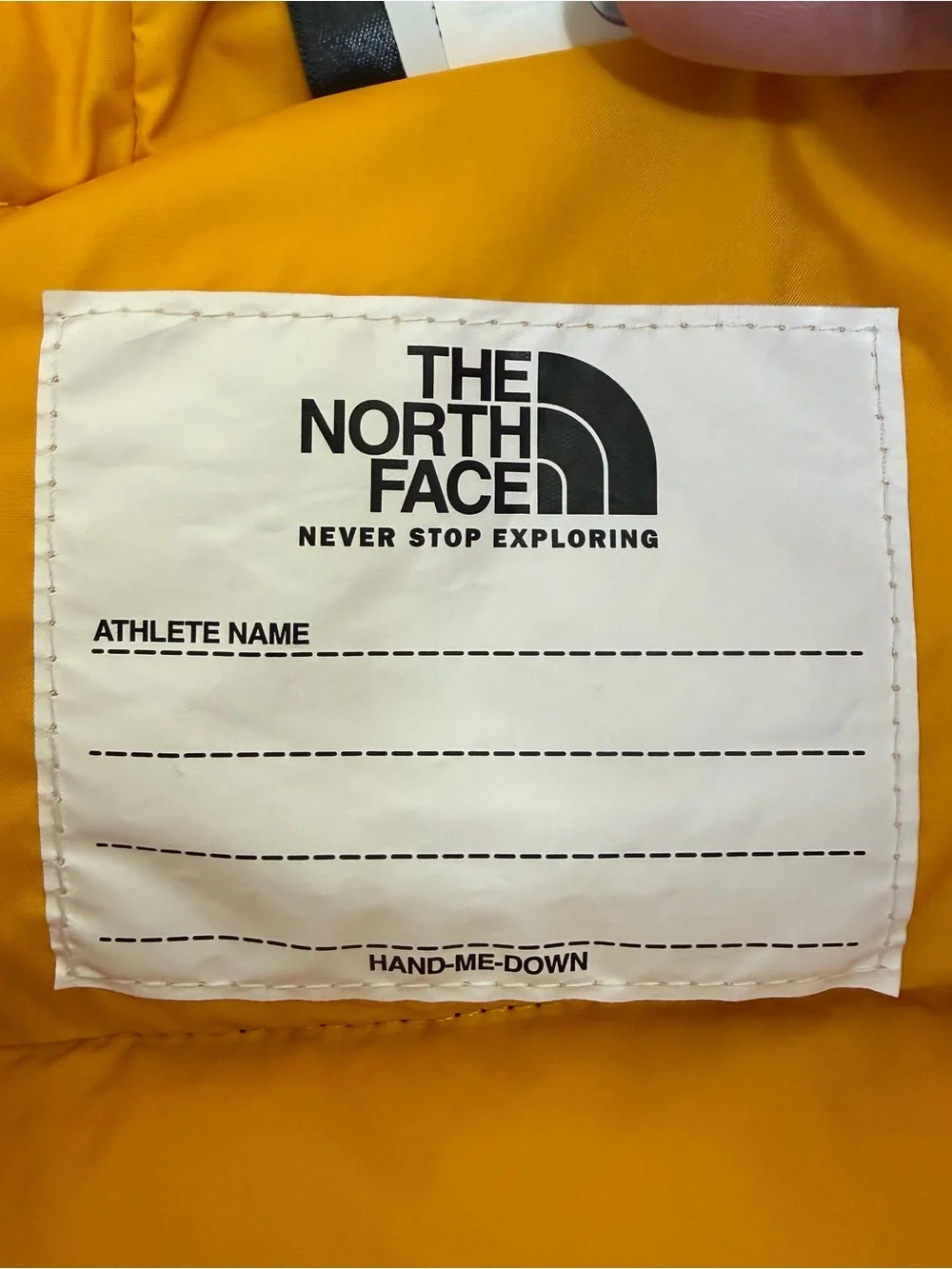 The North Face north face